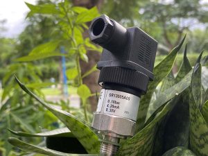 +1 Cảm biến áp suất georgin SR13005A00 | Giá rẻ - Hàng có sẵn 4 Người dùng nên mua đầu dò áp lực sr13005a00 giá rẻ tại hưng phát