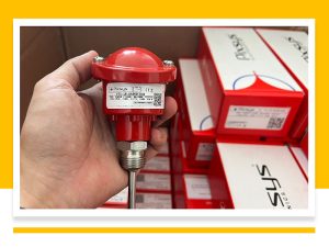 Cảm biến nhiệt độ pt100 giá rẻ đại diện pixsys tại việt nam
